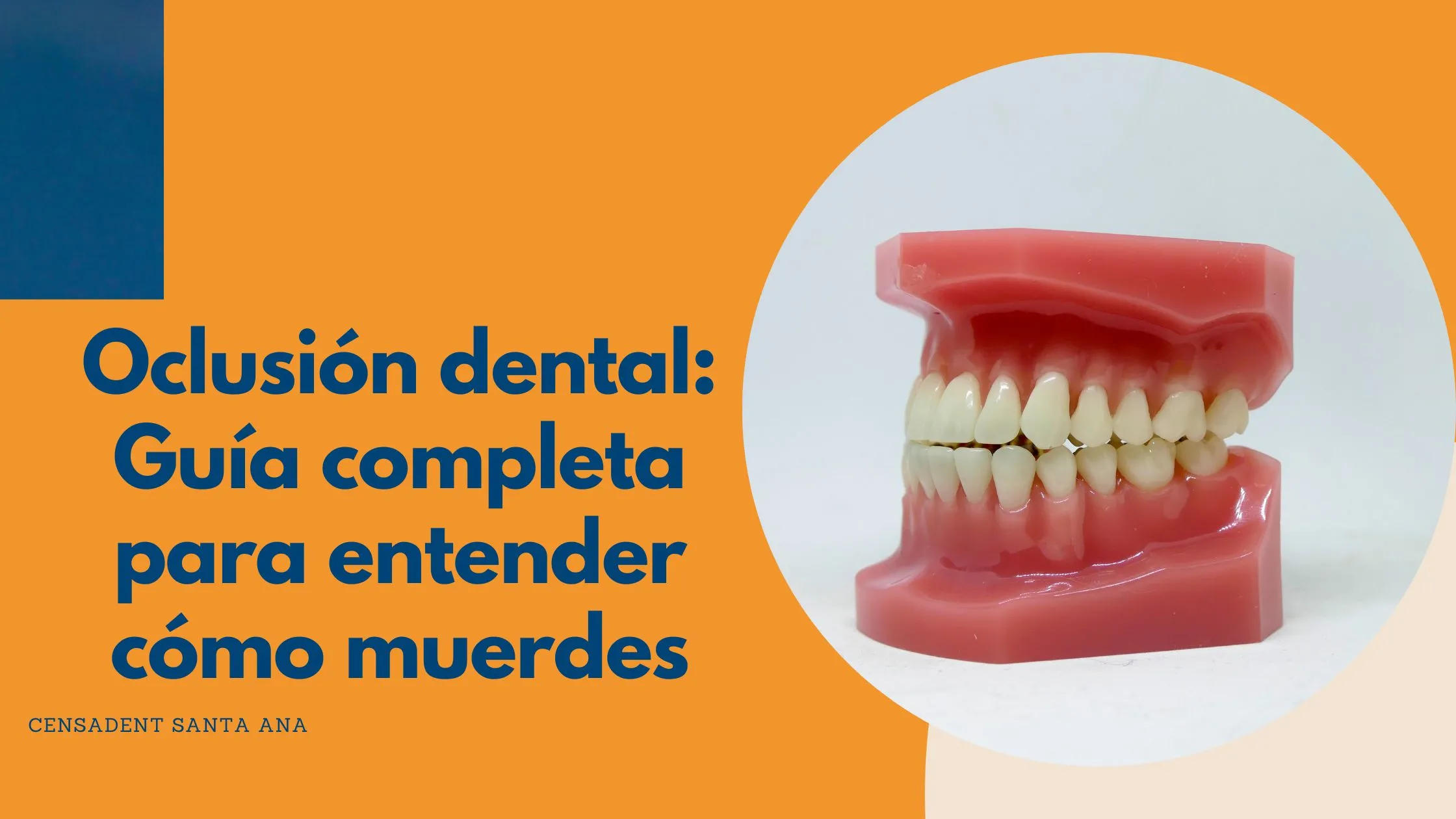 Oclusión dental: Guía completa para entender cómo muerdes